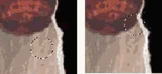 Правильный и неправильный